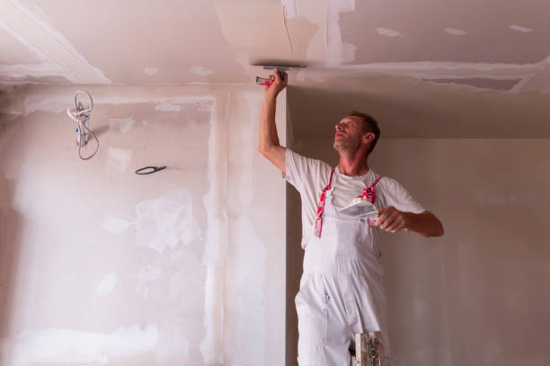 Best Ceiling Drywall Installation  in Richwood, OH